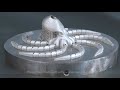 Selective laser melting additive manufacturing metal 3d printer printing model process by protofab