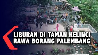 Liburan Di Taman Kelinci Rawa Borang Palembang - Youtube