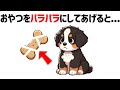 実は犬が人間に伝えたい本音10選【犬の雑学】