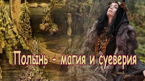Полынь - магия и суеверия