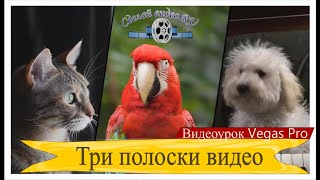 картинка: Три полоски видео (с помощью всего одной маски). Урок Vegas pro