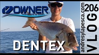 FISHING DENTEX WITH OWNER HOOKS screenshot 5