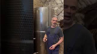 Naturalne Vinarstvo Naboso, Seria Peto Kde Sme, Cast 062021