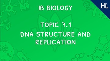 IB Biology Topic 7.1 (HL): DNA Structure and Replication