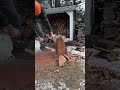 Lombard 35 chainsaw first test cuts after timing adjustment