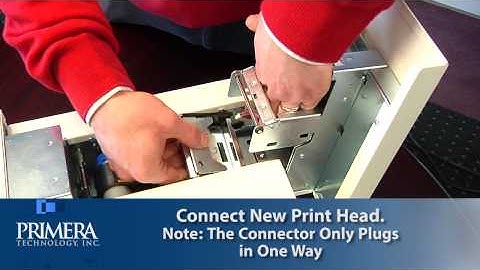 Primera Signature Slide Printer: Replacing the Print Head