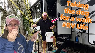 Told her I would walk the DOG and pick up DINNER! RV life RV living by Salty Trips 247 views 4 months ago 12 minutes, 17 seconds