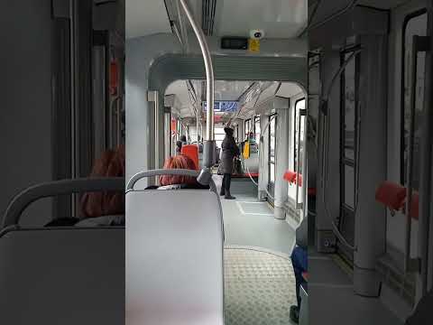 DPMB a.s. Jízda