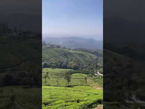 Beauty of Munnar