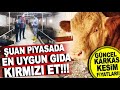 GÜNCEL KARKAS ET VE KESİM FİYATLARI! DOĞU'DA CANLI HAYVAN PAZARI SATIŞLARI / ÇELİKER BESİ ÇİFTLİĞİ