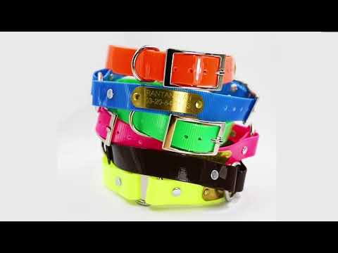 Collier pour chien phosphorescent 45 cm