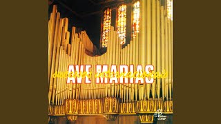 Ave Maria, D. 839 (Arr. for Synthesizer by José Paulo Soares)