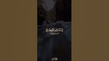 إن الله لا يحب الفرحين | أرح قلبك المتعب قليلا 💙🎧 | تلاوة خاشعة #عبدالرحمن_مسعد #اسلام_صبحي