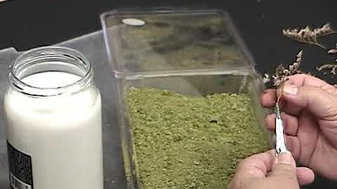 How to make trees