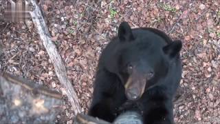 Ultimate Near Death Experiences Compilation 2020