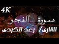 سورة الفجر بصوت جميل ومؤثر رعد الكردي 