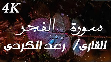 سورة الفجر بصوت جميل ومؤثر رعد الكردي