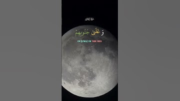#سورة_آل_عمران #سعد_الغامدي #قران_كريم #قرآن#قران