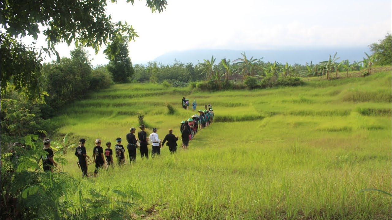 NGAHUMA | MANGSA NGASEUK | Kampung adat majalaya, Dukuhbadag, Kuningan 