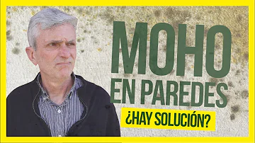 ¿Cómo saber si hay moho detrás de las paredes?