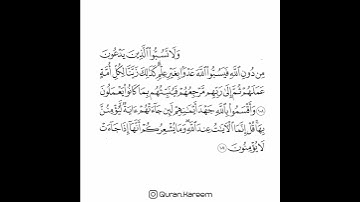 القارئ سعد الغامدي - سورة الأنعام - من الآية 108 إلى الآية 109