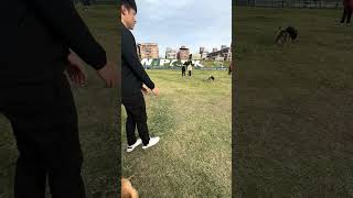 IMG 8206
