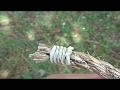 How to Tie a Half Knot (West Country) Whipping