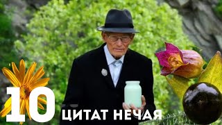 10 Цитат мольфара Михайла Нечая.