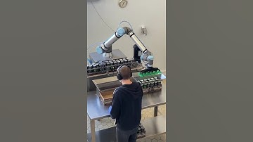 Collaborative robot for craft beer.