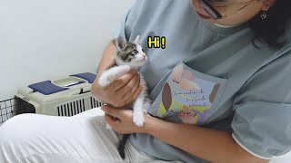 When My Mom First Met The Rescued Kitten| Daily Cuteness Ep.7