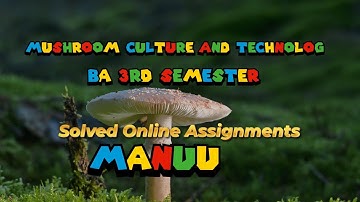 Mushroom 🍄 Culture and Technology/BA 3rd semesterJuly 2023 batch/Solved Online Assignments/MANUU