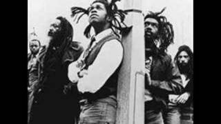 Video thumbnail of "Steel Pulse - Reggae Fever"