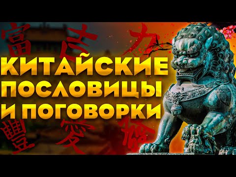 Китайские пословицы и поговорки | Афоризмы цитаты и мудрые слова Китайского народа