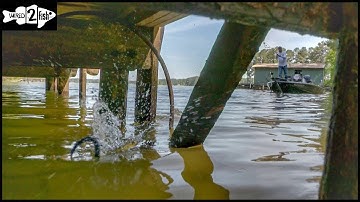 How to Make Flawless Skip Casts with Spinning Gear