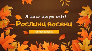 картинка: Рослини восени.