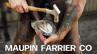 A Hoof Restoration By Maupin Farrier Co | ASMR | Oddly Satisfying