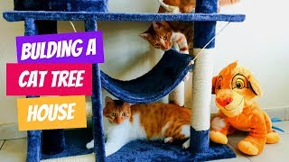 Building cat tree house by Ginny & Simba The Cats 577 views 4 years ago 6 minutes, 2 seconds