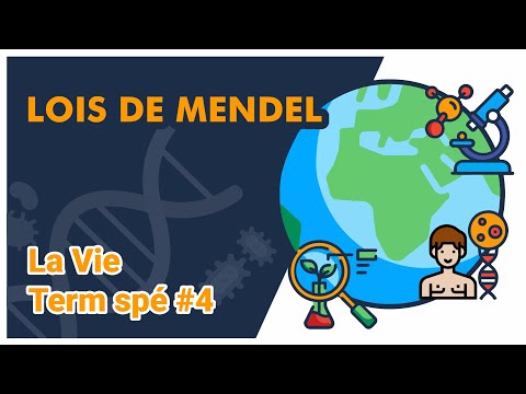 Lois de Mendel - SVT - LA VIE Term spé # 4- Mathrix