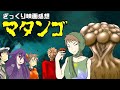 【ゆっくり映画感想】マタンゴ【キノコの山(おいしい)】
