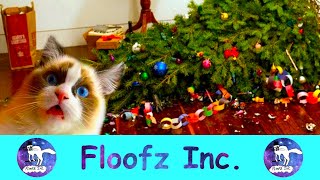 The Funniest Pets vs. Christmas! by Floofz Inc. 140 views 2 years ago 8 minutes, 59 seconds
