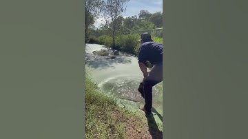 New visual viral transition hooks. #fun #hooks #transition #viralvideos