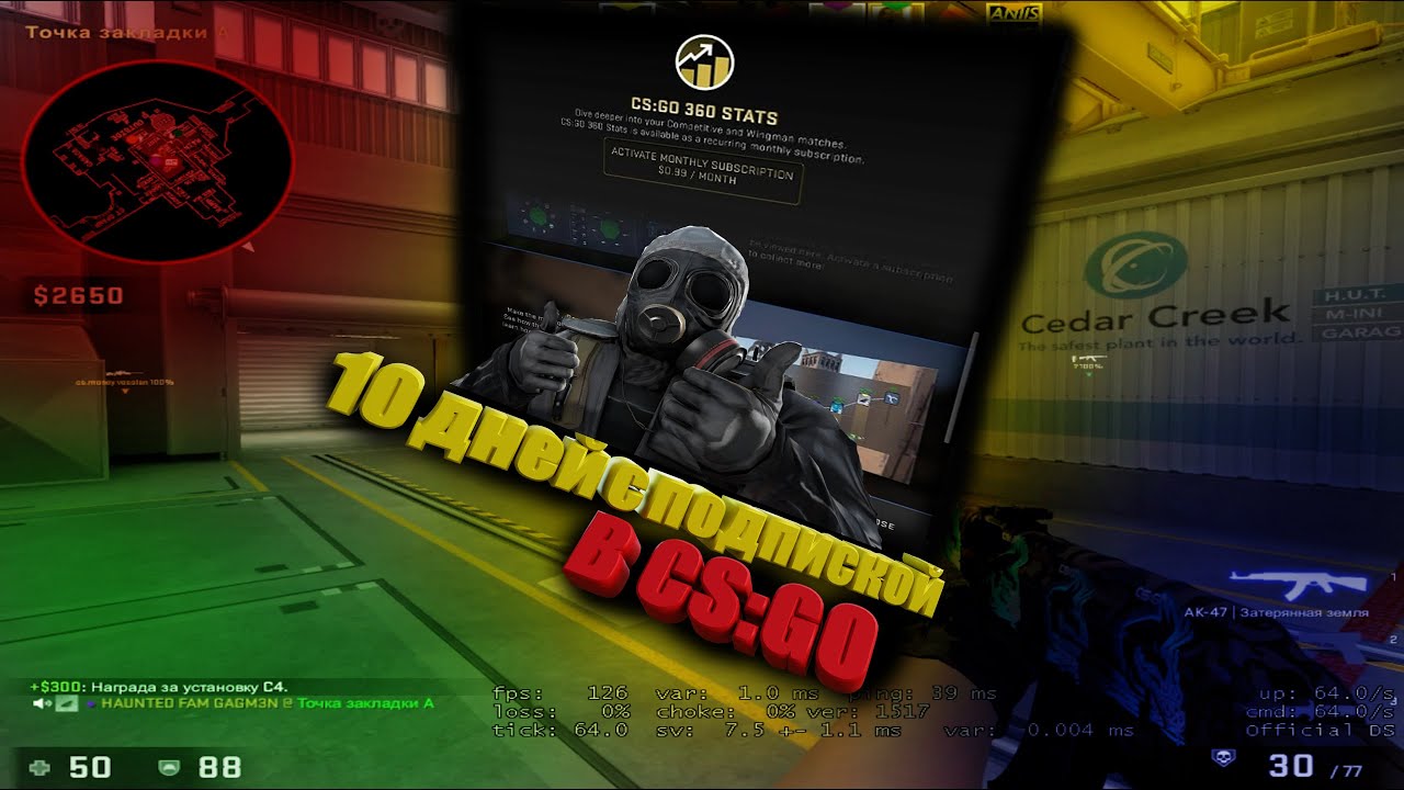 10 дней с подпиской CS:GO 360! | CS:GO - YouTube