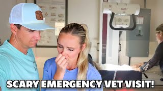 🚑 ANOTHER EMERGENCY VISIT 🏥 RUNNING TO THE VET EMERGENCY ROOM FOR POSSIBLE HERNIATED DISC, ER X-RAYS