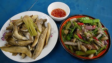 Cá Chạch Hấp Nước Mắm Gỏi Tai Tượng  Mùa Lũ Đã Hết Rồi