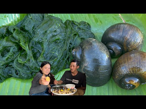 ผลสลากกินแบ่งรัฐบาล วันที่ 1 พย. 2567