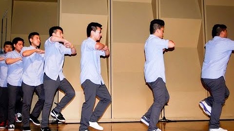 Step Out 2014 - Lambda Phi Epsilon