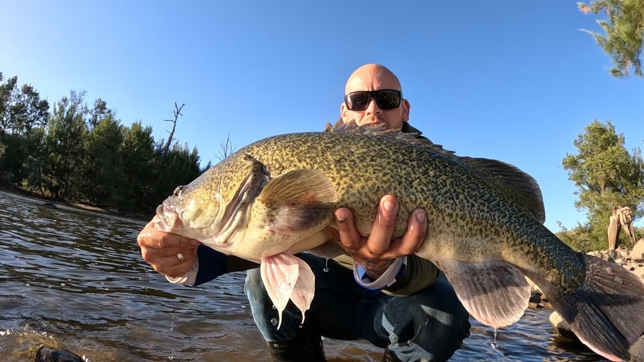 Murray cod success! - YouTube