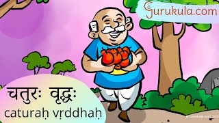 Sanskrit Stories - 12. चतुरः वृद्धः chaturaH vRddhaH | Samskritam Story katha kahani | Gurukula.com screenshot 1