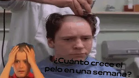 ¿Cuánto crece el pelo en 12 días?