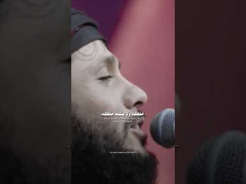 تلاكو من بعد الفركه ملك ه ولا يشبه ملك ه الملأ مرتضى حرب